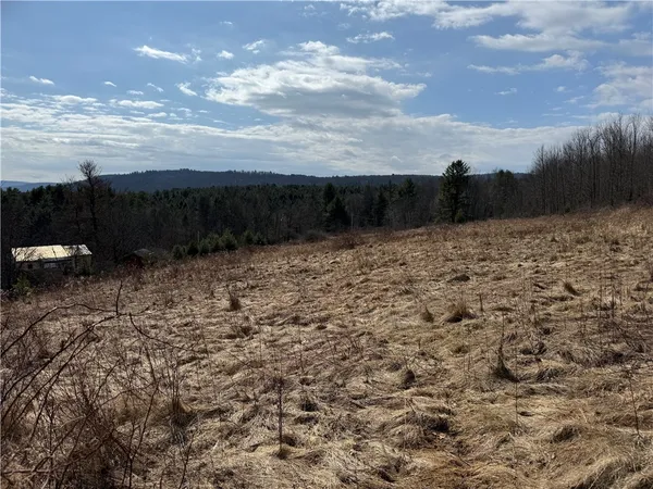 $99,000 | 386 High Bridge Road, Guilford, NY 13809