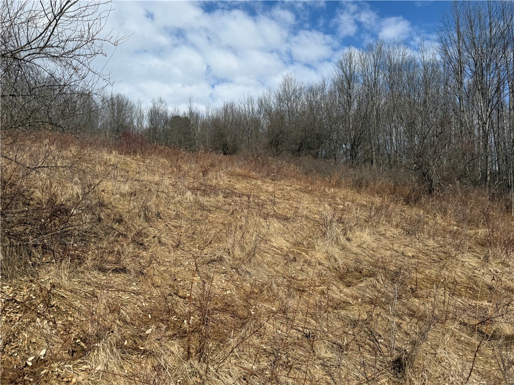 386 High Bridge Road Guilford, NY 13809 - Photo 37 of 40