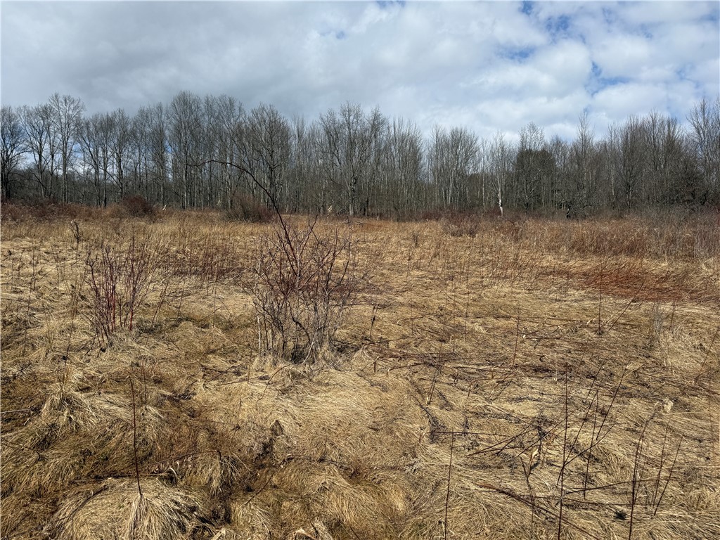 386 High Bridge Road Guilford, NY 13809 - Photo 38 of 40