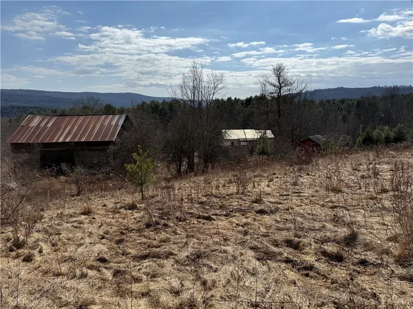 $99,000 | 386 High Bridge Road, Guilford, NY 13809