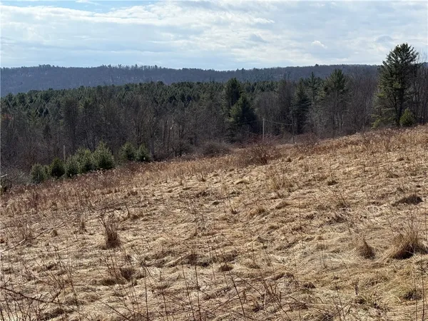 $99,000 | 386 High Bridge Road, Guilford, NY 13809