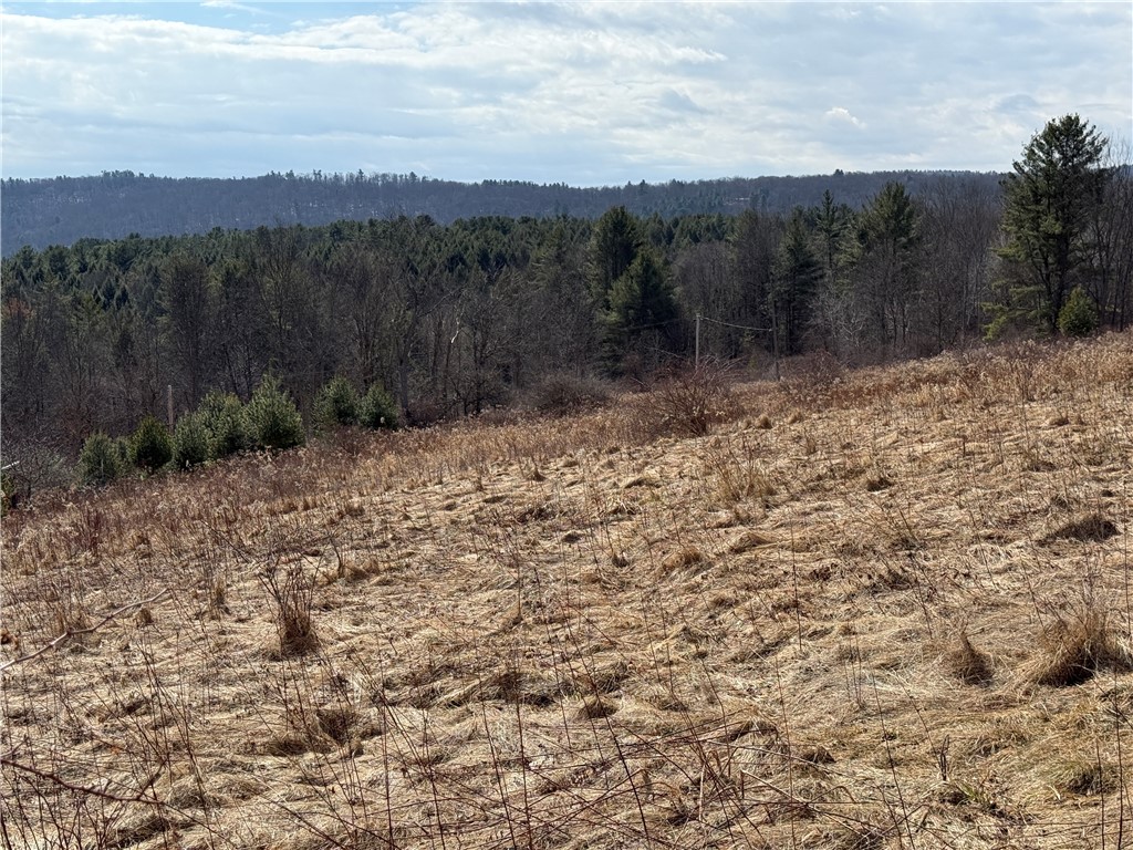 386 High Bridge Road Guilford, NY 13809 - Photo 4 of 40