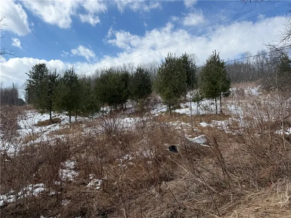 $99,000 | 386 High Bridge Road, Guilford, NY 13809