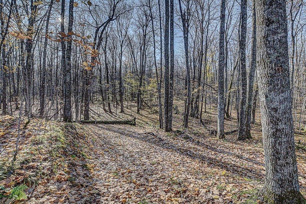 Lot # Timber Wolf Road Presque Isle, WI 54557 - Photo 15 of 16 Gallery Image 15