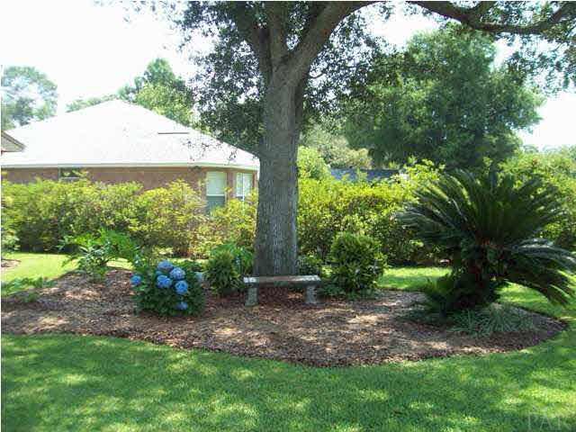 Beautiful Landscaping