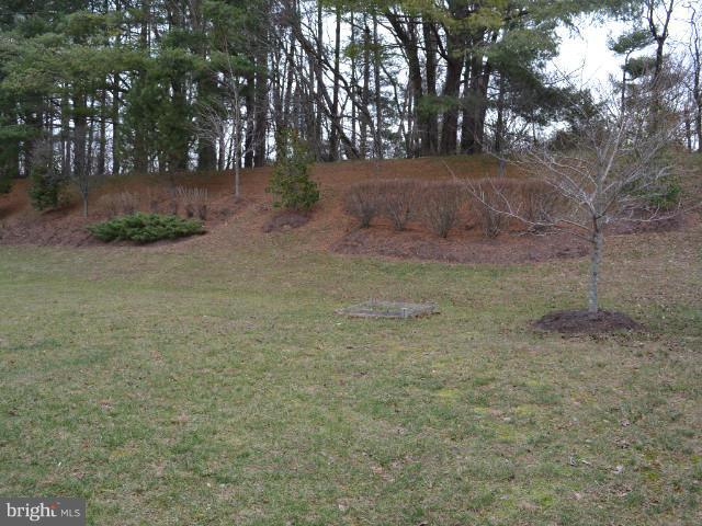 4206 Bridle Ridge Road Upper Marlboro, MD 20772 - Photo 3 of 30 Exterior (Rear)