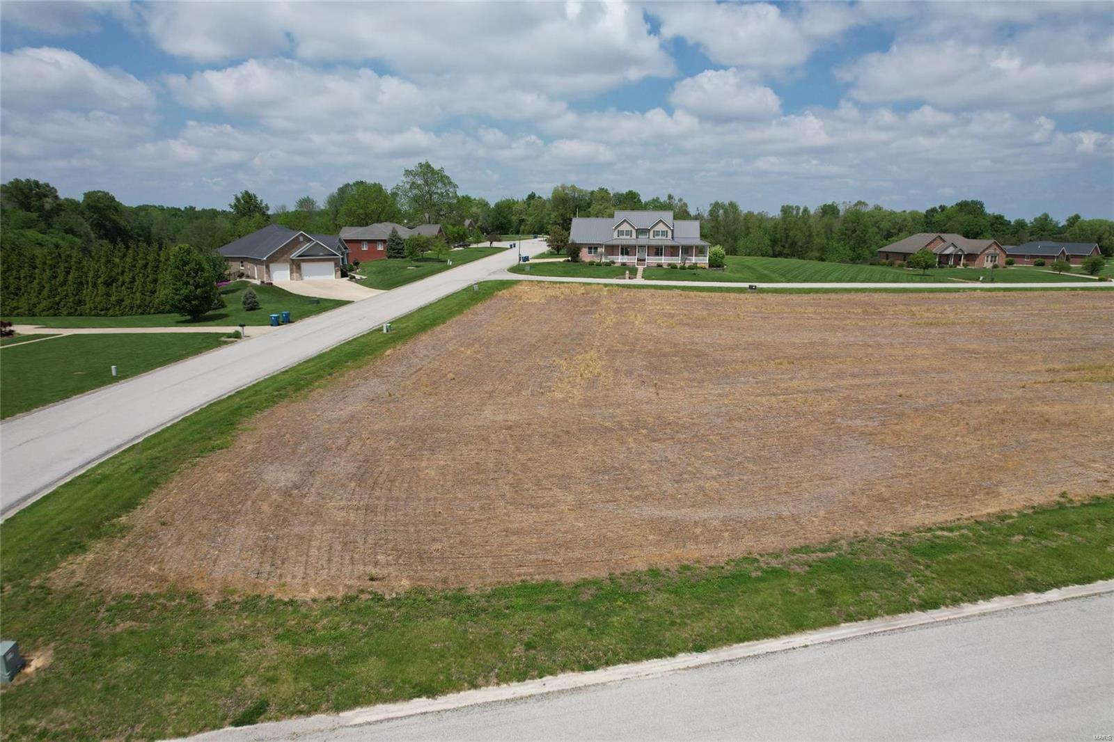 244 Walnut Bone Gap, IL 62815 - Photo 4 of 5