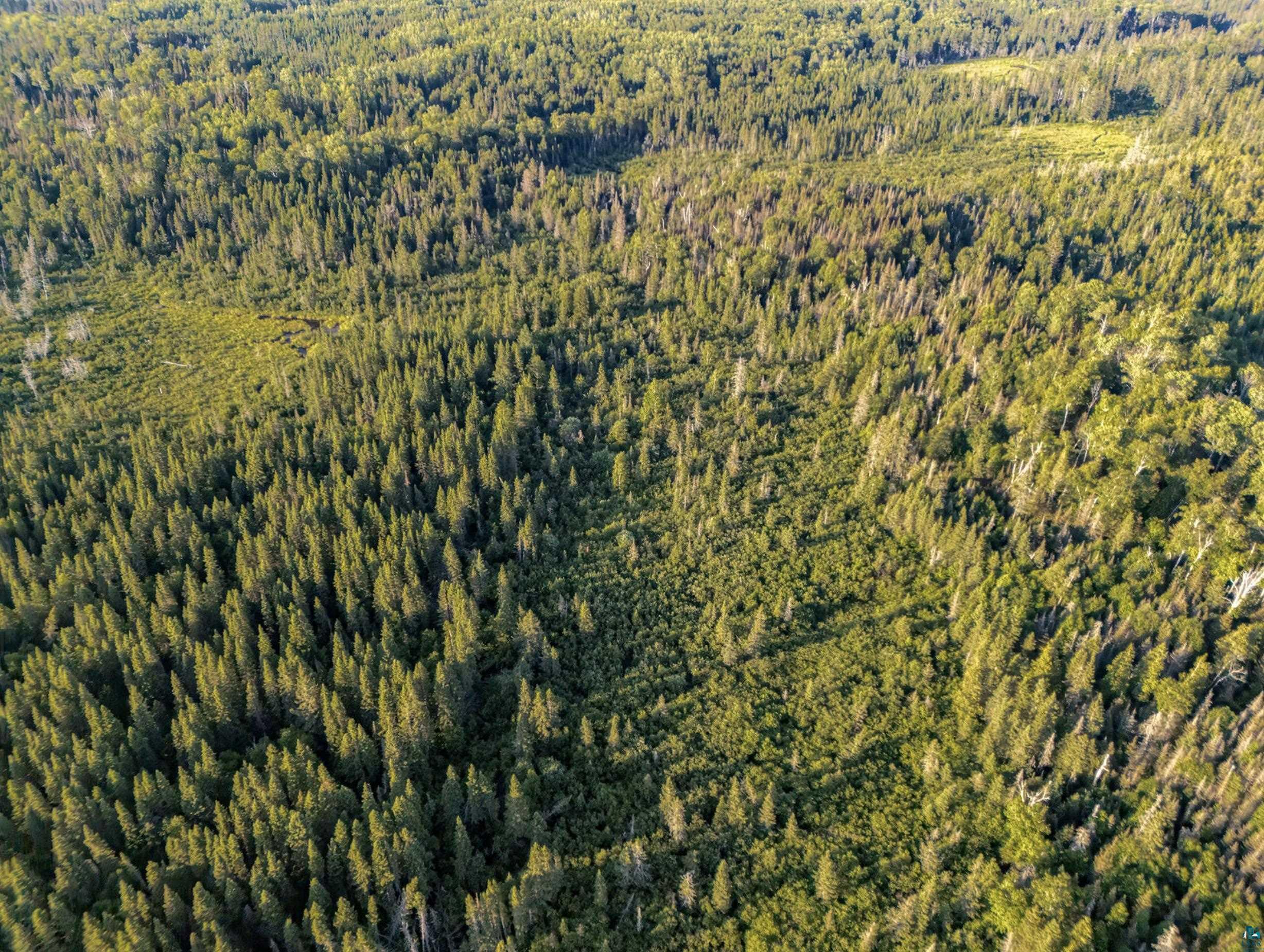 Tbd Hoist Lake Road Finland, MN 55603 - Photo 11 of 22