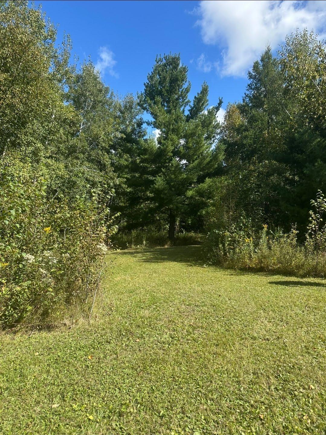 31603 Brook Park Road Brook Park, MN 55007 - Photo 35 of 38