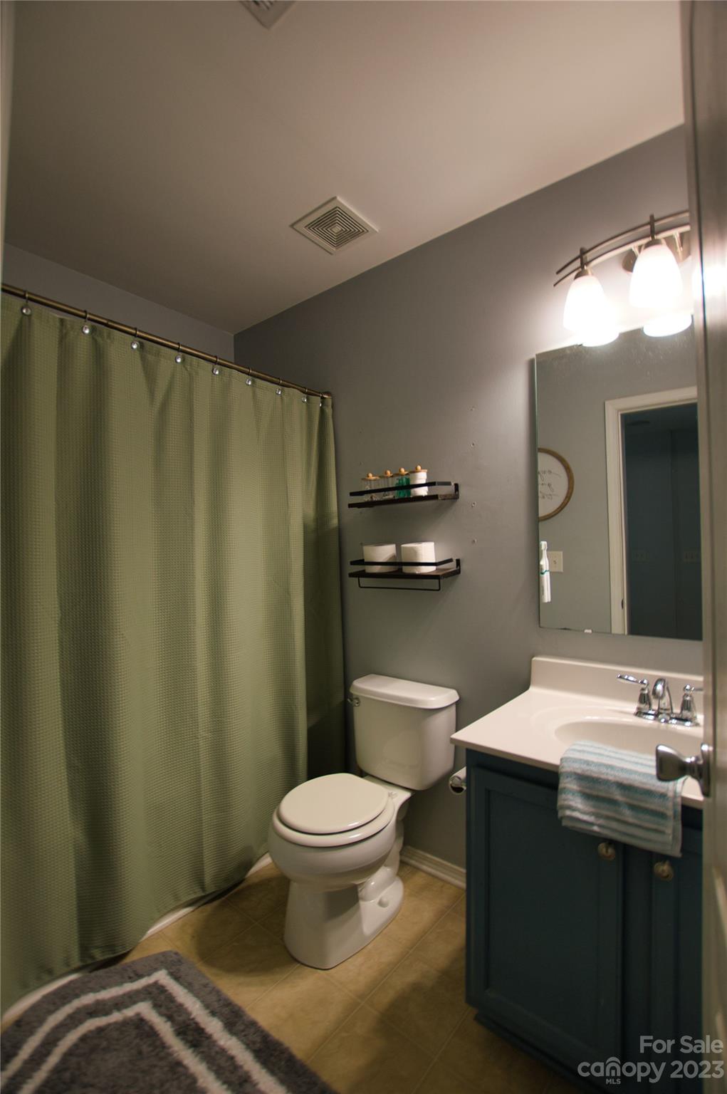303 River Clay Road, Unit 135 Fort Mill, SC 29708 - Photo 13 of 19 a bathroom with a sink a toilet a mirror and shower curtain
