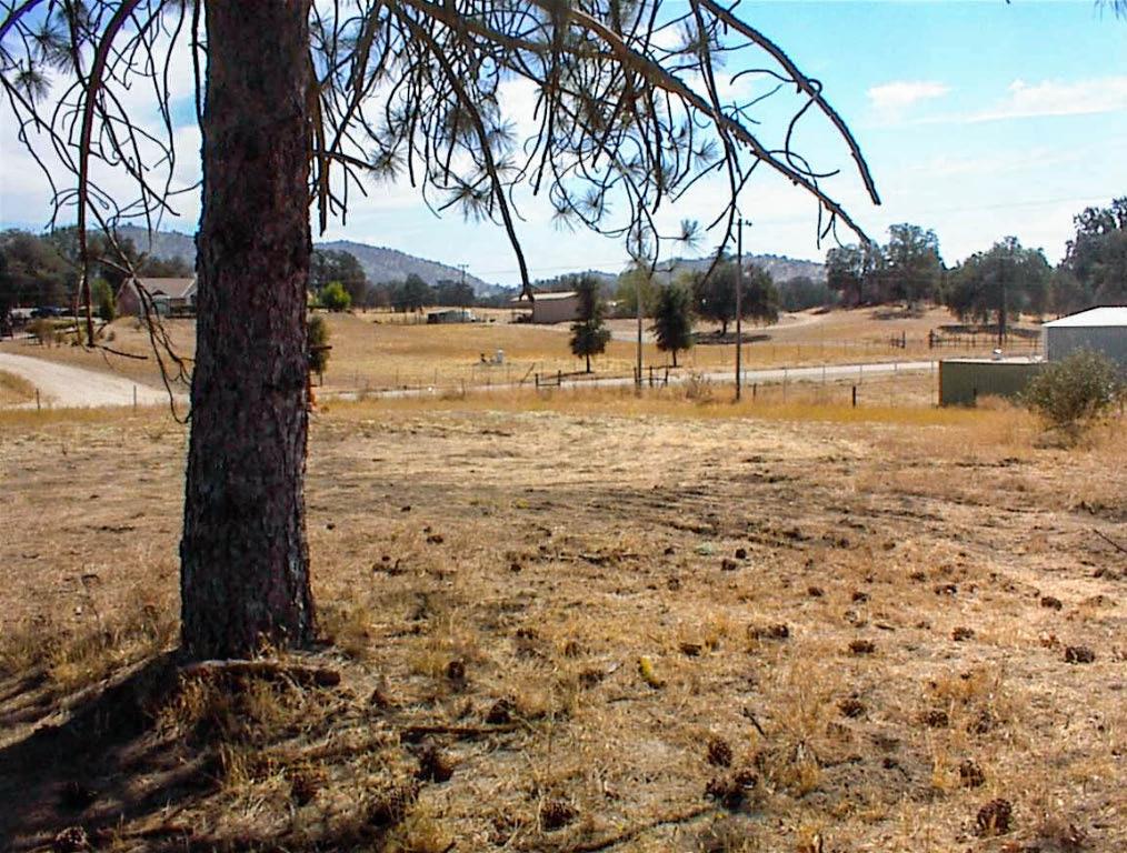 32351 Indian Guide Road Squaw Valley, CA 93675 - Photo 18 of 18 Gallery Image 18