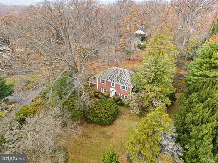 a view of a yard with plants and a bench