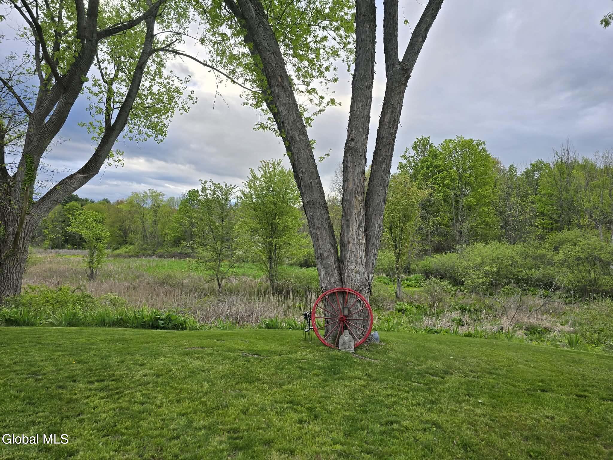 1305 Maple Hill Road Schodack, NY 12033 - Photo 37 of 50 backyard2