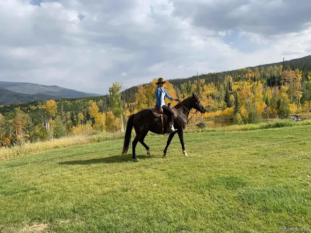 $26,000,000 | 1800 Triple Creek Ranch Road, Silverthorne, CO 80498