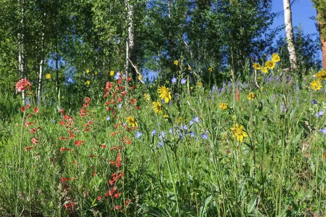 $26,000,000 | 1800 Triple Creek Ranch Road, Silverthorne, CO 80498