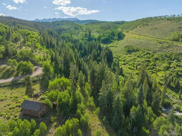 a view of a lush green forest with lots of trees