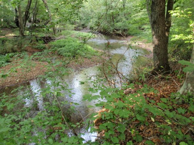 0 Moores Cemetery Road Flintville, TN 37335 - Photo 1 of 10 Gallery Image 1