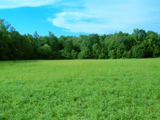 0 Moores Cemetery Road Flintville, TN 37335 - Photo 3 of 10 Gallery Image 3