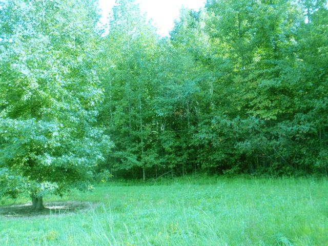 0 Moores Cemetery Road Flintville, TN 37335 - Photo 4 of 10 Gallery Image 4
