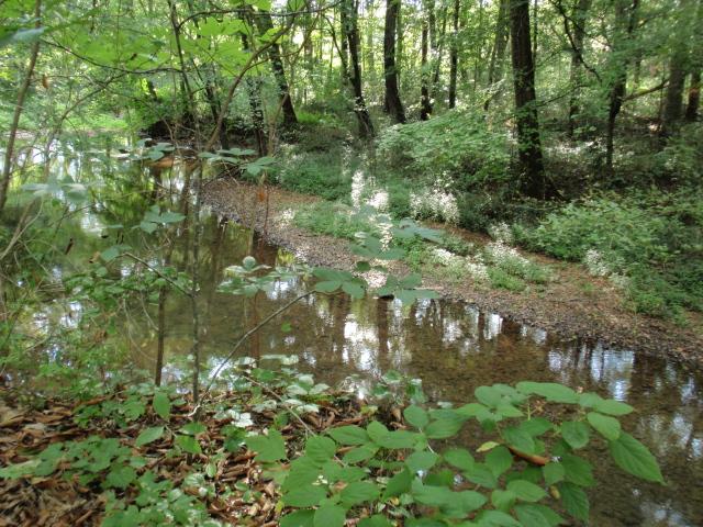 0 Moores Cemetery Road Flintville, TN 37335 - Photo 6 of 10 Gallery Image 6