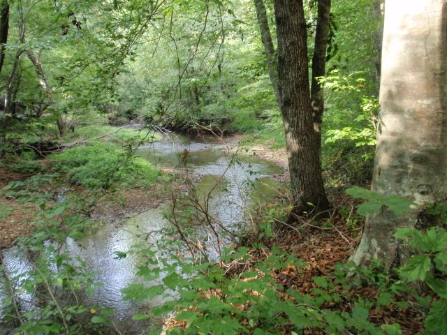 0 Moores Cemetery Road Flintville, TN 37335 - Photo 7 of 10 Gallery Image 7