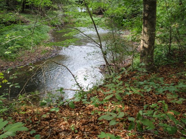 0 Moores Cemetery Road Flintville, TN 37335 - Photo 8 of 10 Gallery Image 8