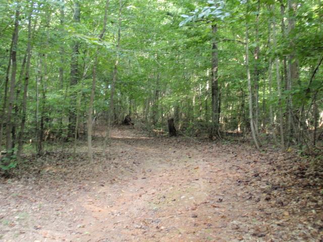 0 Moores Cemetery Road Flintville, TN 37335 - Photo 9 of 10 Gallery Image 9