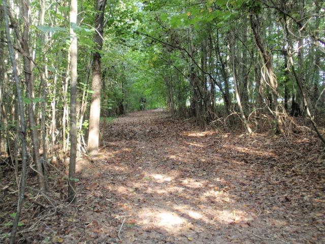 0 Moores Cemetery Road Flintville, TN 37335 - Photo 10 of 10 Gallery Image 10