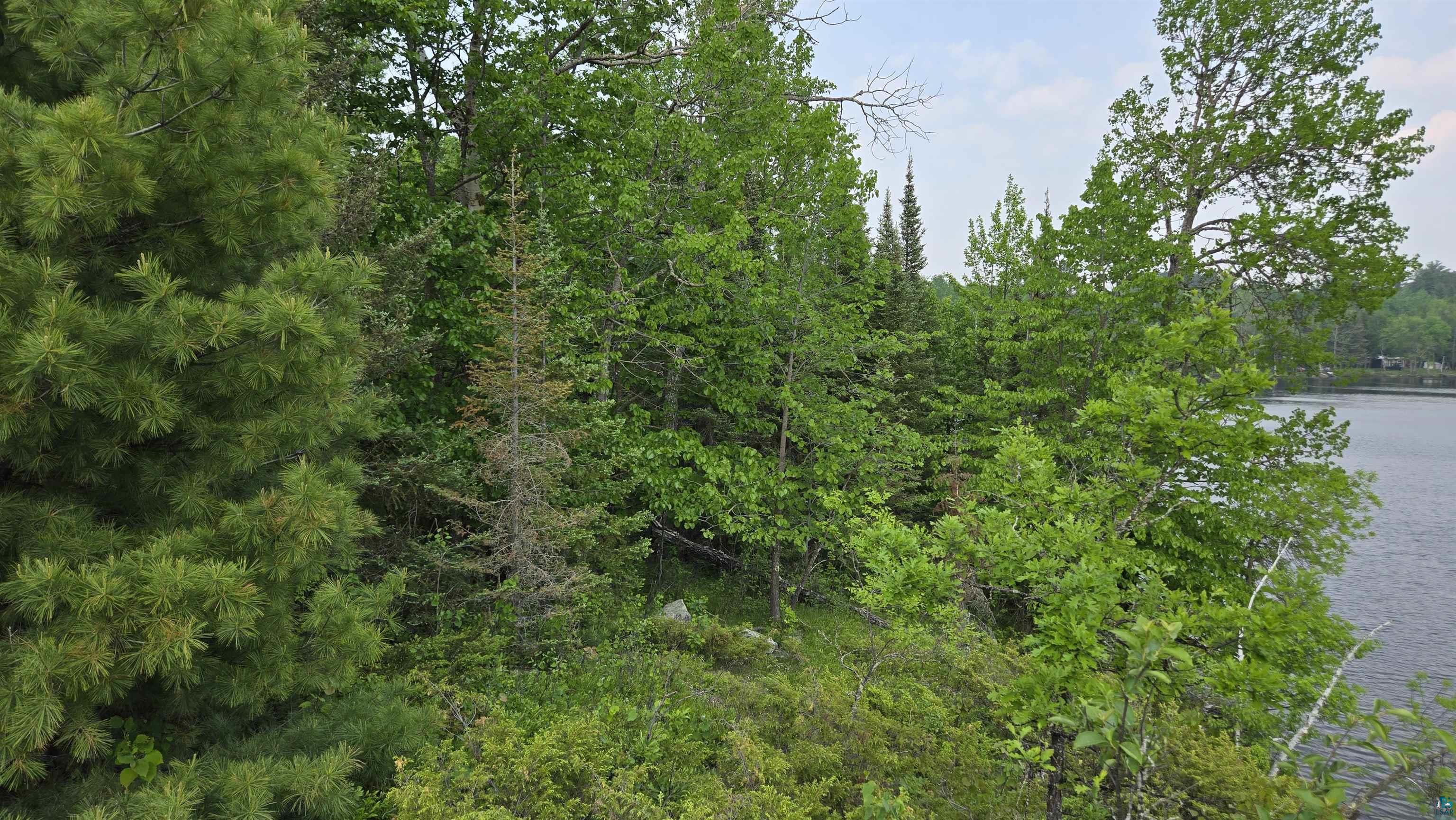 11.82 Bessette Road Orr, MN 55771 - Photo 29 of 44 View of wooded area featuring a water view
