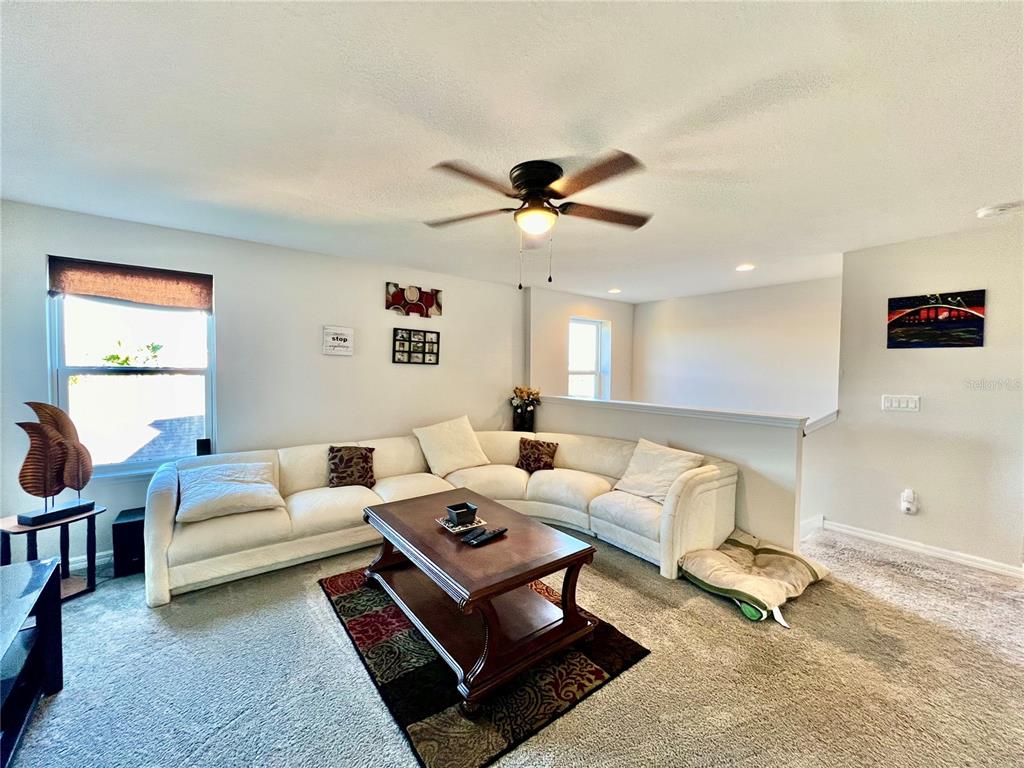 14112 Poke Ridge Drive Riverview, FL 33579 - Photo 15 of 46 a living room with furniture a ceiling fan and a rug