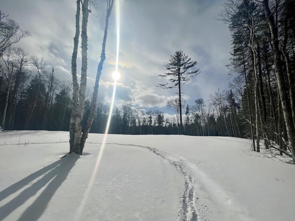 66-5 Deer Meadow Road Rangeley, ME 04970 - Photo 19 of 21 Lot