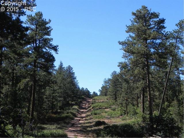 4369 Elati Road Larkspur, CO 80118 - Photo 14 of 16 Gallery Image 14