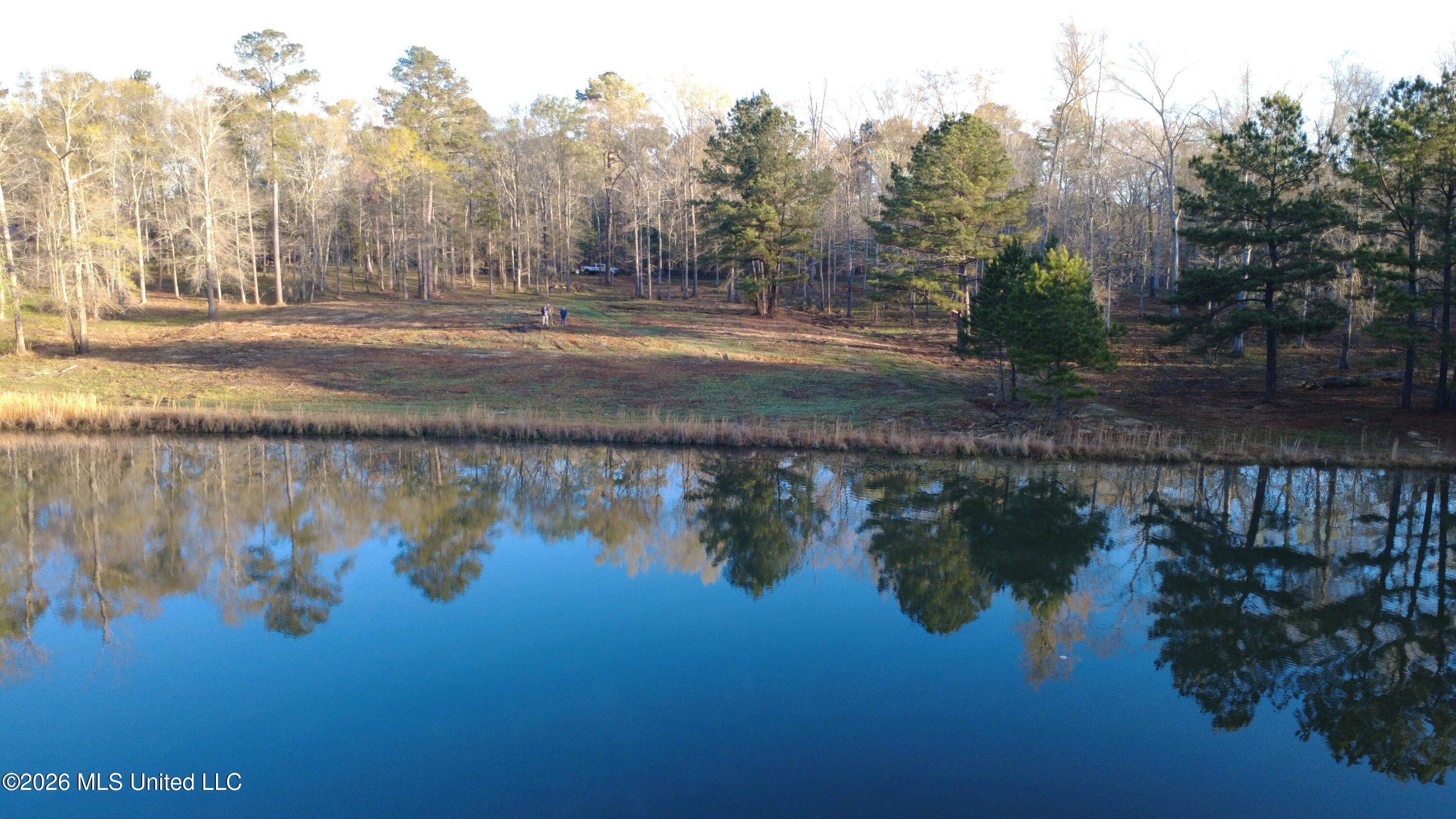 0 Star Road Brandon, MS 39042 - Photo 1 of 22 DJI_0002