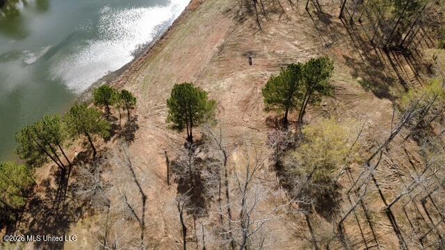0 Star Road Brandon, MS 39042 - Photo 11 of 22 dji_fly_20260311_155524_15_1773262809182