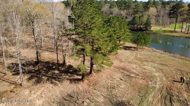 0 Star Road Brandon, MS 39042 - Photo 12 of 22 dji_fly_20260311_155642_17_1773262794970