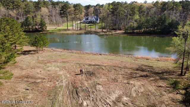 0 Star Road Brandon, MS 39042 - Photo 13 of 22 dji_fly_20260311_155648_18_1773262785745