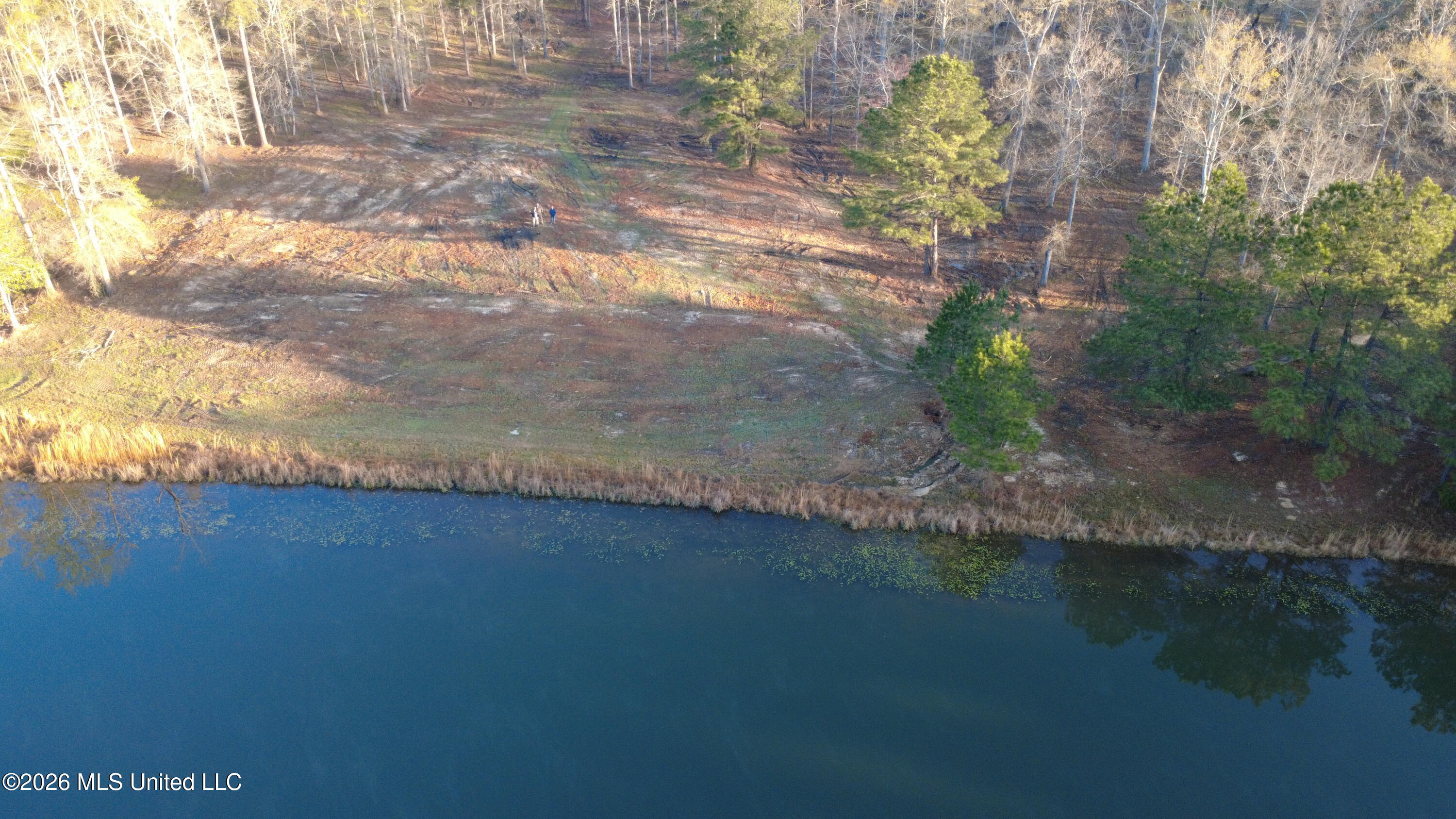 0 Star Road Brandon, MS 39042 - Photo 15 of 22 DJI_0001