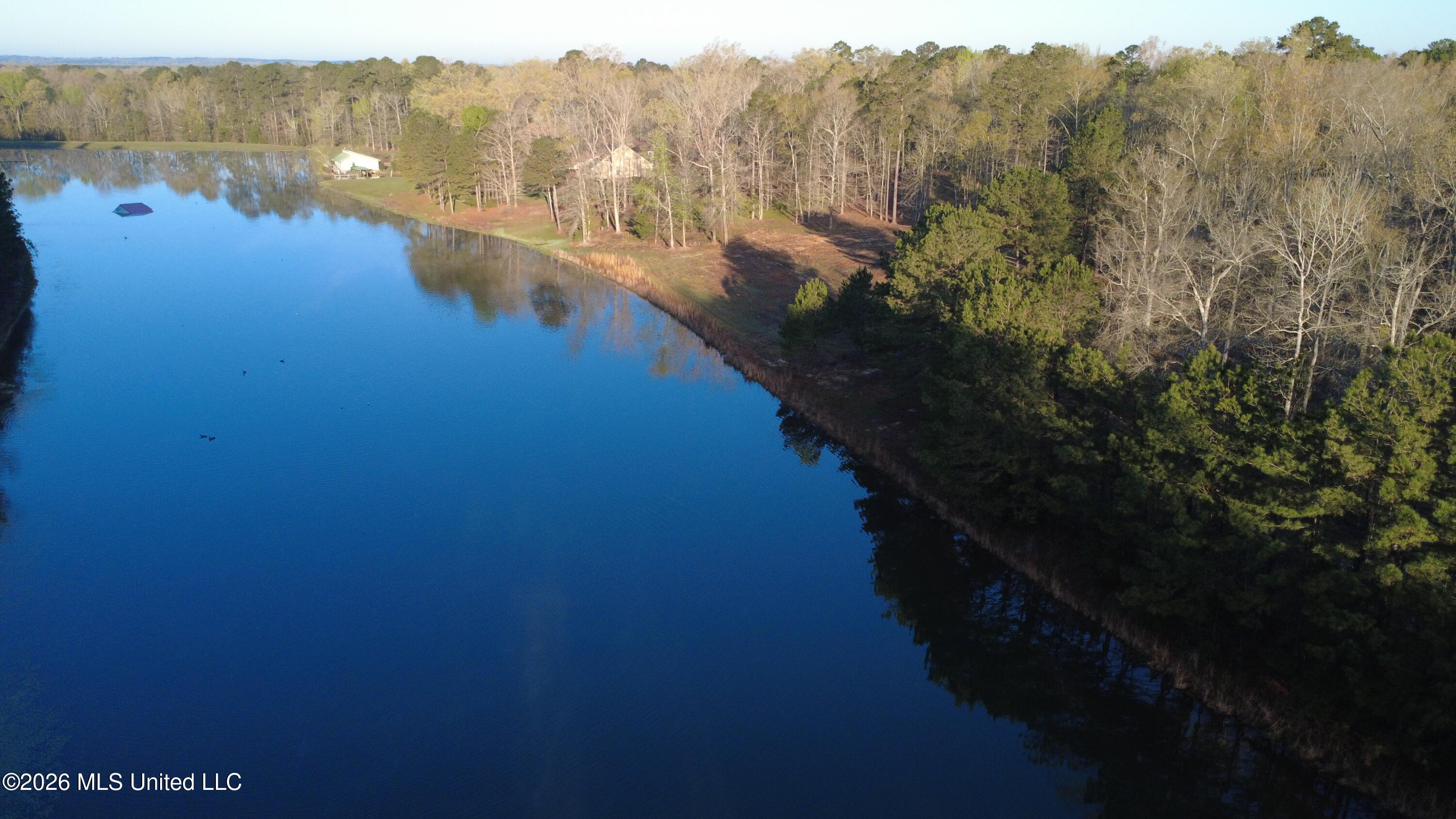 0 Star Road Brandon, MS 39042 - Photo 17 of 22 DJI_0004