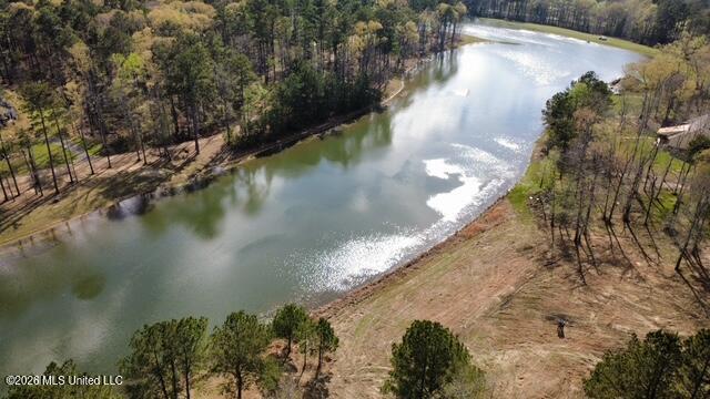 0 Star Road Brandon, MS 39042 - Photo 2 of 22 Lake view