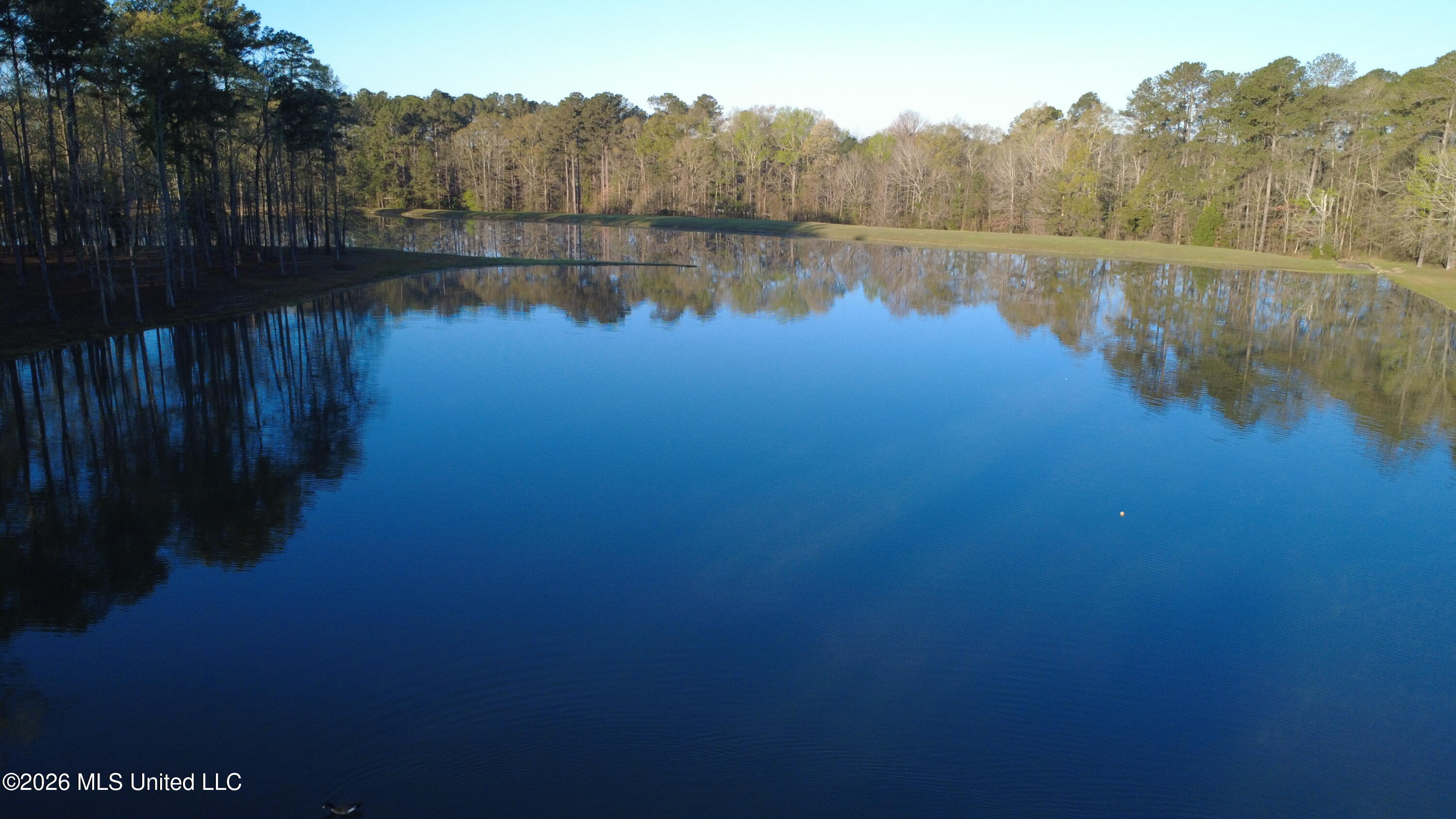 0 Star Road Brandon, MS 39042 - Photo 21 of 22 DJI_0008
