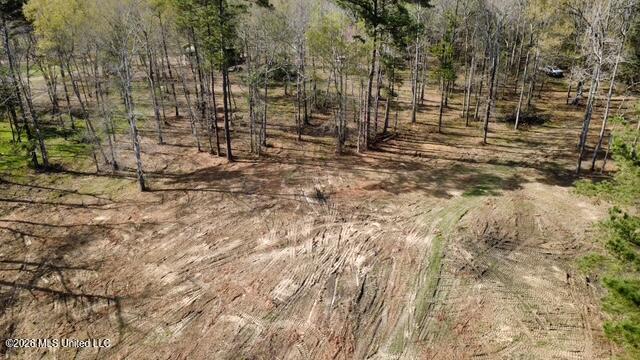 0 Star Road Brandon, MS 39042 - Photo 3 of 22 dji_fly_20260311_155204_4_1773262888574_