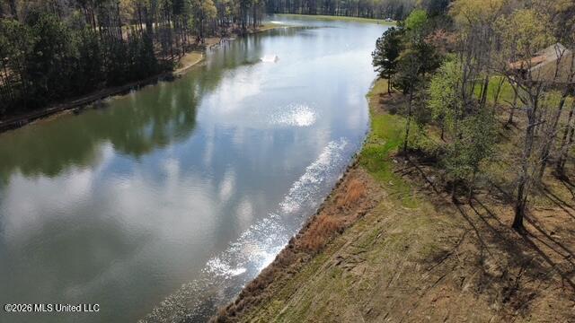 0 Star Road Brandon, MS 39042 - Photo 4 of 22 dji_fly_20260311_155212_5_1773262883865_