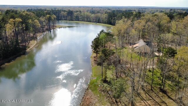 0 Star Road Brandon, MS 39042 - Photo 5 of 22 dji_fly_20260311_155310_8_1773262868840_