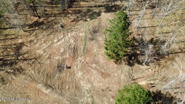 0 Star Road Brandon, MS 39042 - Photo 6 of 22 dji_fly_20260311_155356_9_1773262862698_