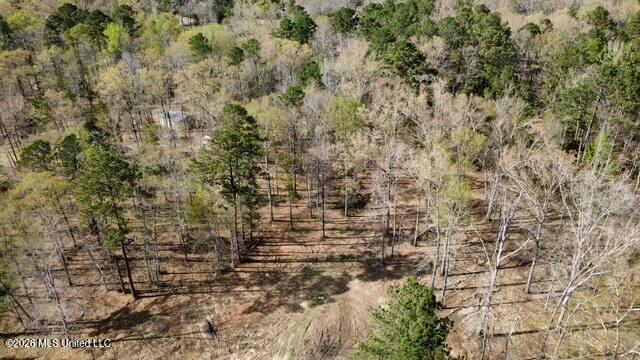 0 Star Road Brandon, MS 39042 - Photo 7 of 22 dji_fly_20260311_155414_10_1773262855628