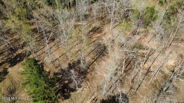 0 Star Road Brandon, MS 39042 - Photo 8 of 22 dji_fly_20260311_155420_11_1773262844789