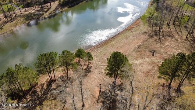 0 Star Road Brandon, MS 39042 - Photo 9 of 22 dji_fly_20260311_155450_12_1773262836956