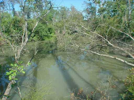 16355 Bricker Road Covington, LA 70433 - Photo 4 of 7