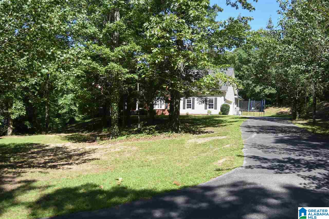 925 Pleasant Valley Road Jacksonville, AL 36265 - Photo 2 of 47