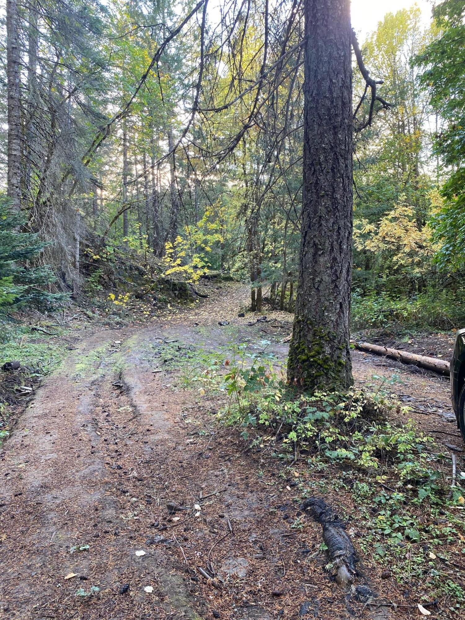 0 Elk Creek Road, Unit 500 Trail, OR 97541 - Photo 10 of 44 Almost there turn around if you don't want to continue. Its muddy.